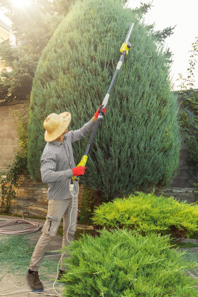 Best Storm Damage Tree Cleanup  in Sycamore, GA